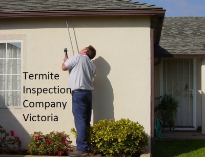 Hire A Professional Termite Inspection Company In Victoria
